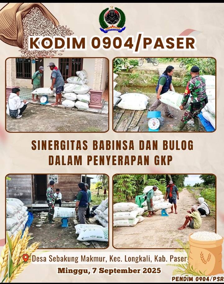 Sinergitas Babinsa dan Bulog dalam penyerapan GKP