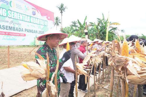 Dandim 0901/Samarinda menghadiri Panen Jagung Serentak Kuartal III Tahun 2025
