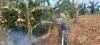 BABINSA KORAMIL 0901-02/SPNG TERJUN PADAMKAN KEBAKARAN LAHAN DI GUNUNG LINGAI